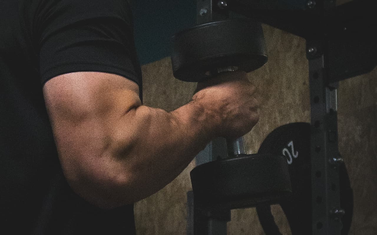 Muscle Gain Coaching in Hull